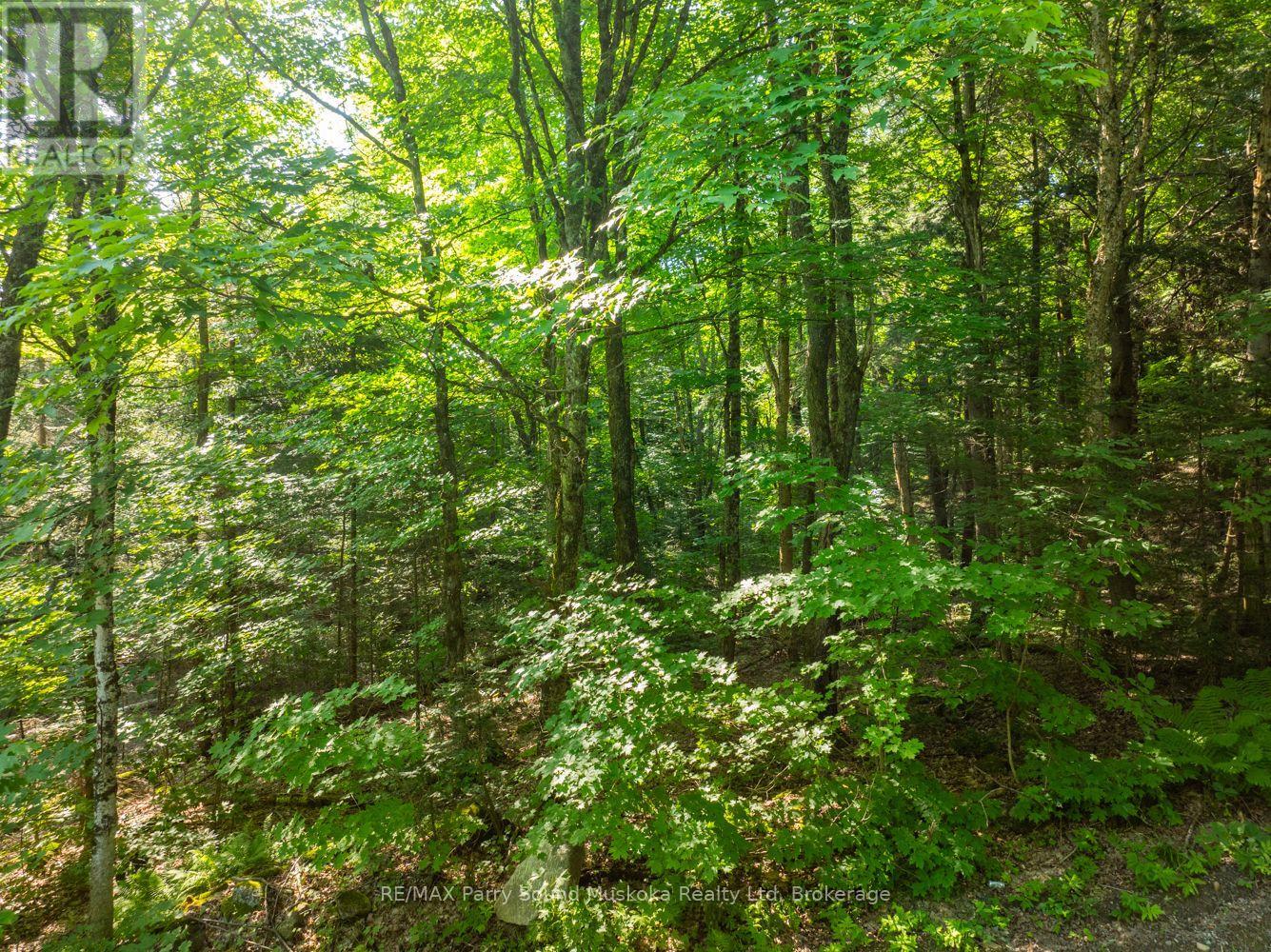 1650 Hekkla Road, Muskoka Lakes, Ontario  P0C 1J0 - Photo 15 - X11968774