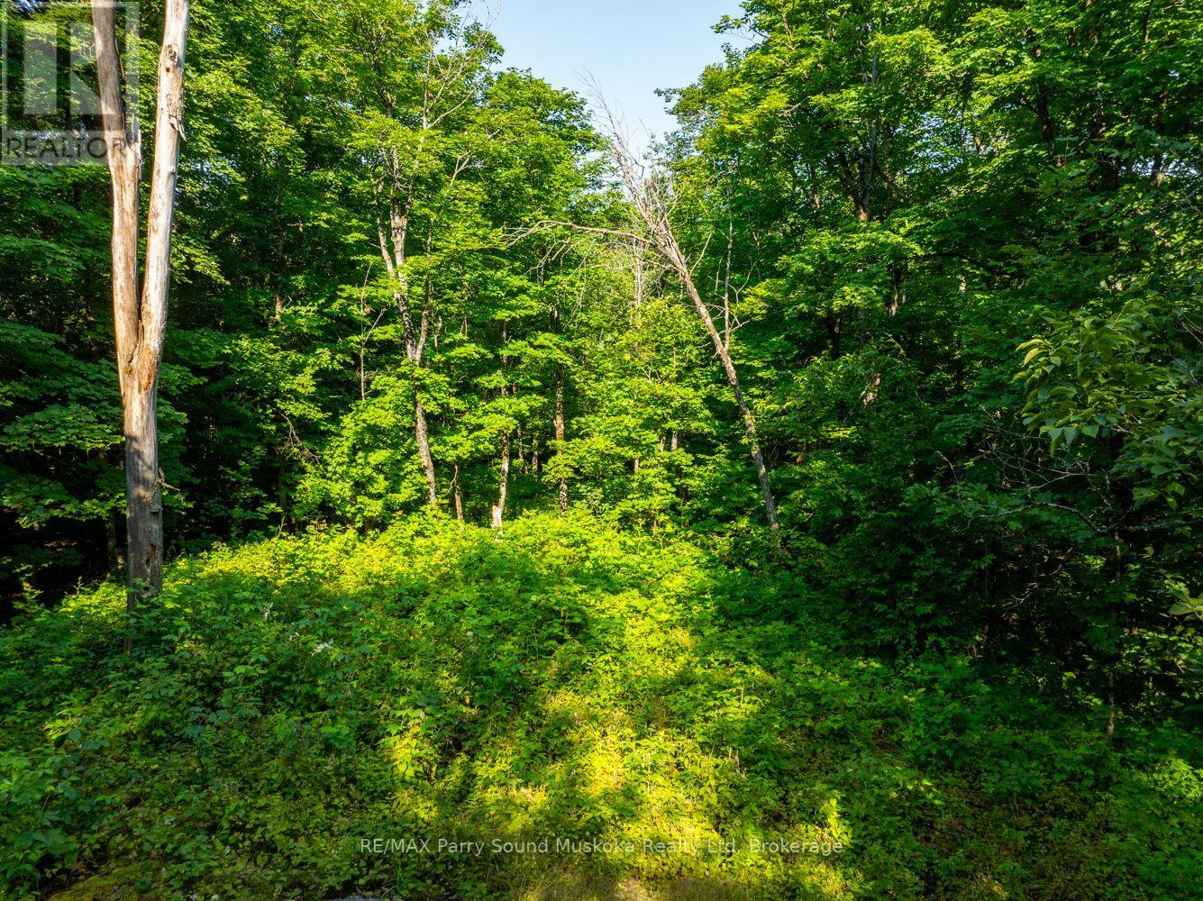 1650 Hekkla Road, Muskoka Lakes, Ontario  P0C 1J0 - Photo 4 - X11968774