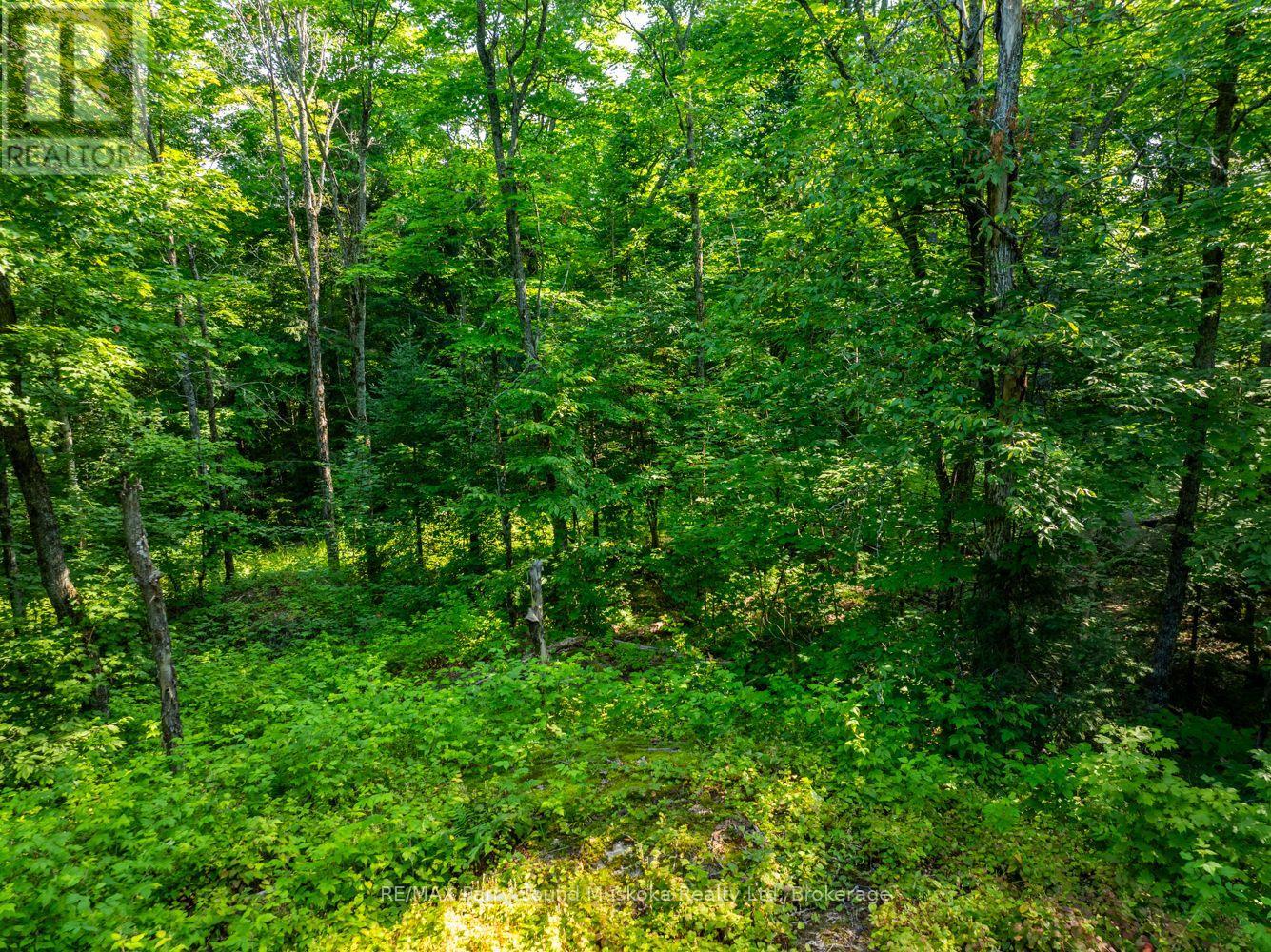1650 Hekkla Road, Muskoka Lakes, Ontario  P0C 1J0 - Photo 8 - X11968774