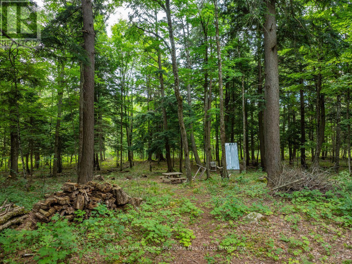 131 Moonwing Road, Magnetawan, Ontario  P0A 1A0 - Photo 19 - X11968775