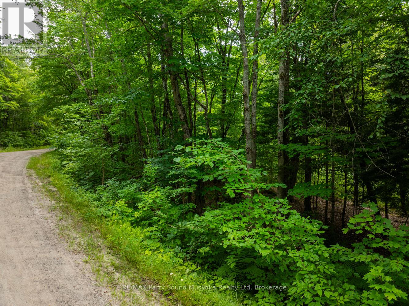 131 Moonwing Road, Magnetawan (Ahmic Harbour), Ontario  P0A 1A0 - Photo 35 - X11968775