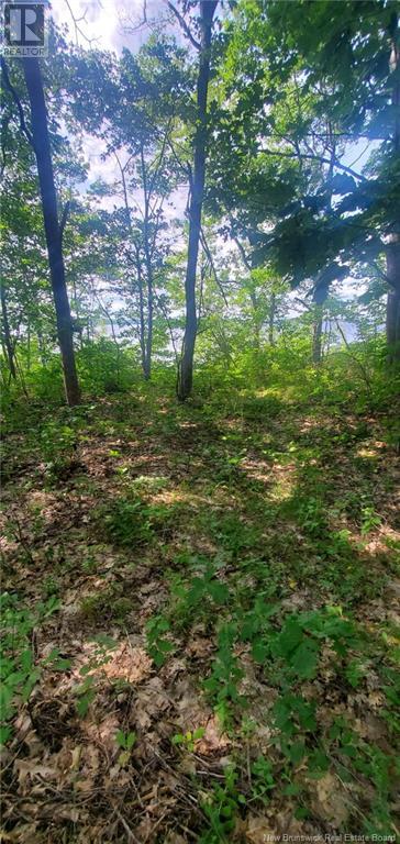 Lot Cox Point Road, Cumberland Bay, New Brunswick  E4A 2Y5 - Photo 10 - NB112479