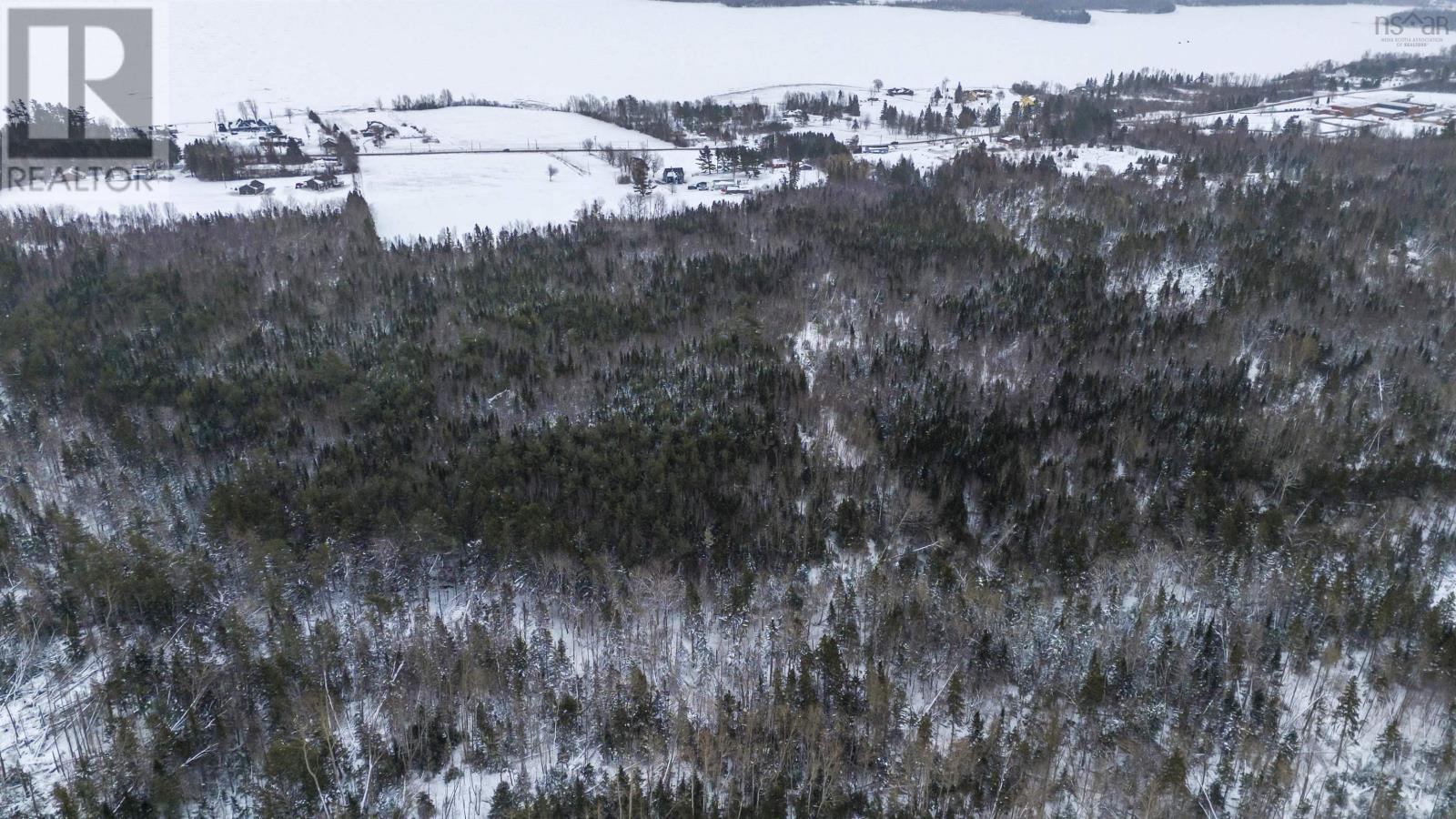 2121 Highway 376, Lyons Brook, Nova Scotia  B0K 1H0 - Photo 50 - 202502707