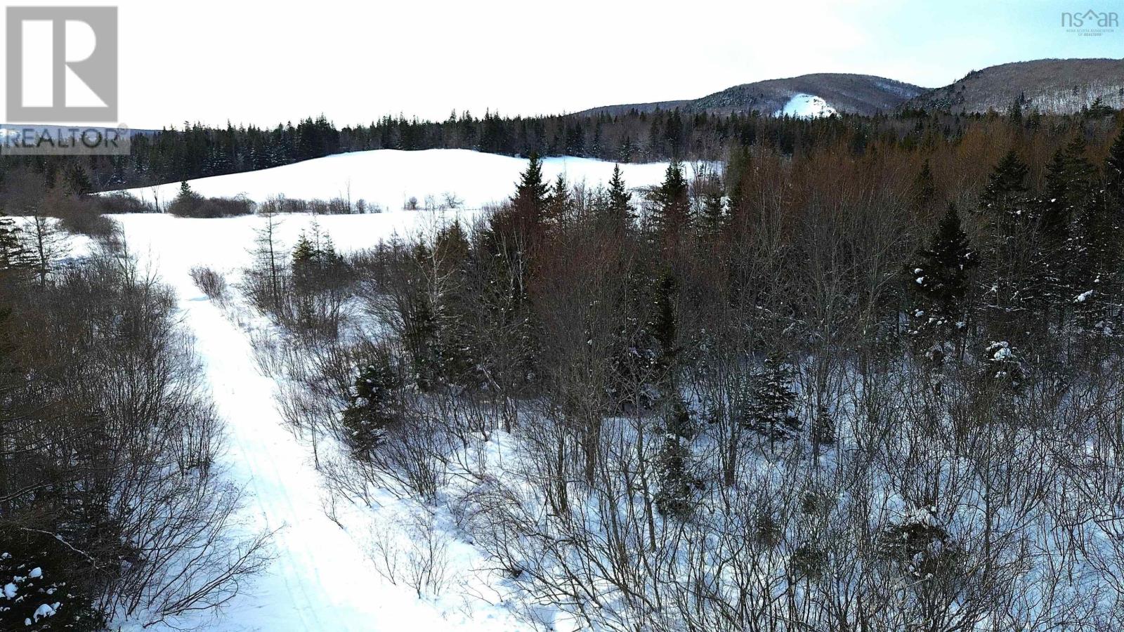 Melford Road (Old), River Denys, Nova Scotia  B0E 2Y0 - Photo 1 - 202502735