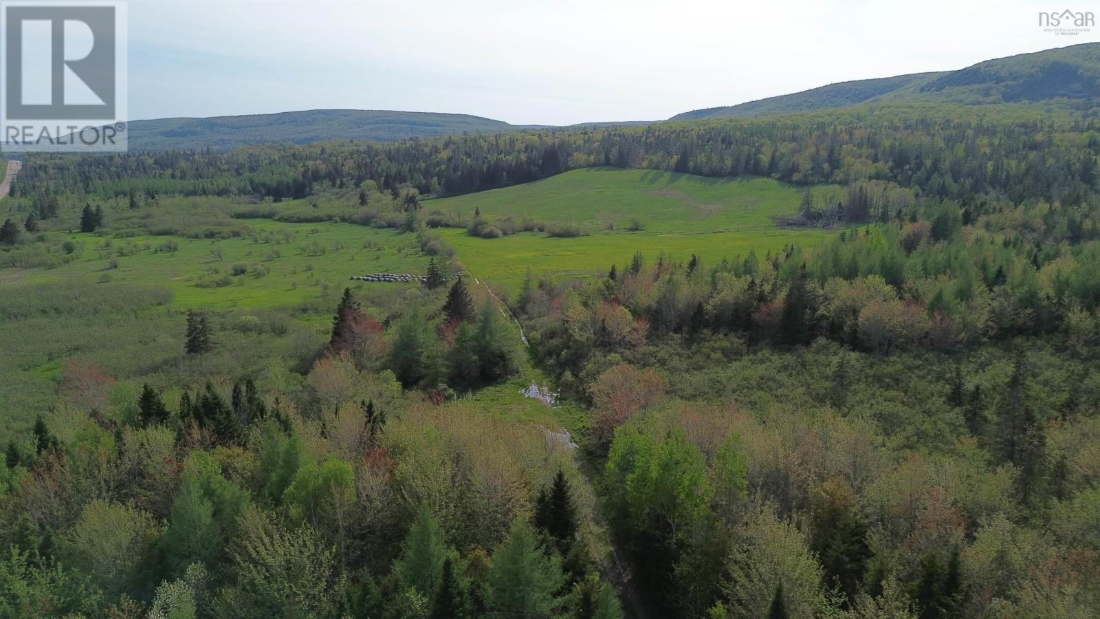 Melford Road (Old), River Denys, Nova Scotia  B0E 2Y0 - Photo 12 - 202502735