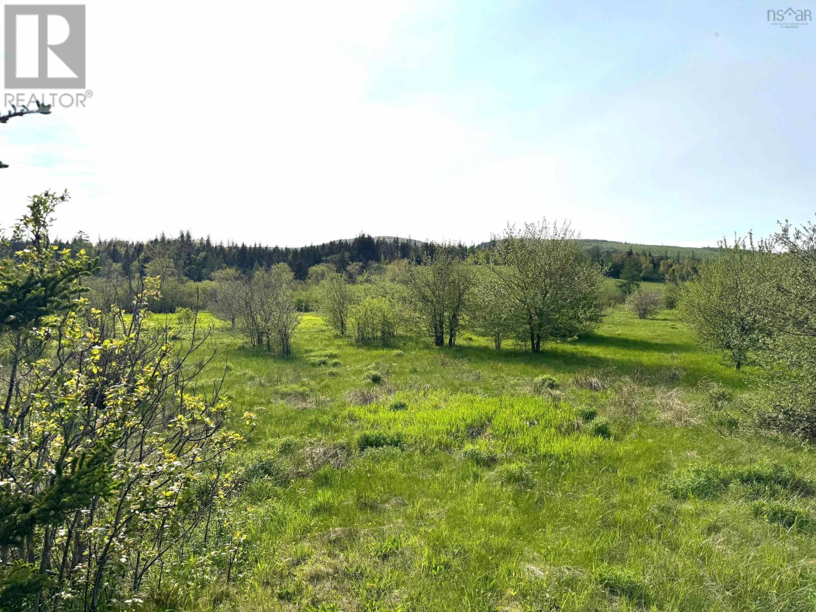 Melford Road (Old), River Denys, Nova Scotia  B0E 2Y0 - Photo 5 - 202502735