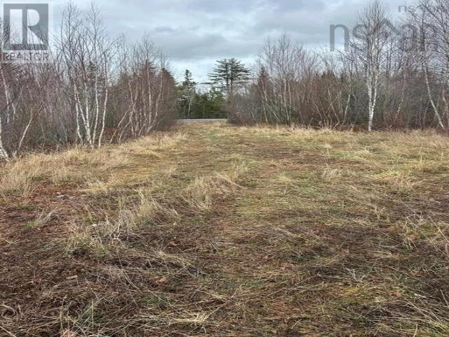 0 104 Highway, Wentworth, Nova Scotia  B0M 1Z0 - Photo 6 - 202501764