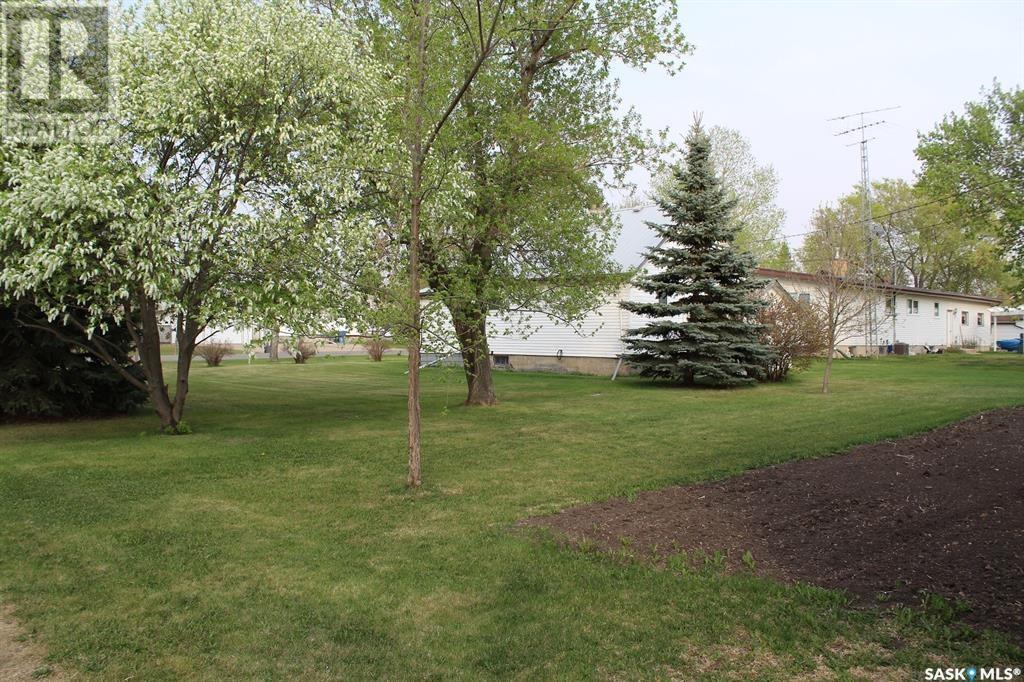 110 7th Avenue, Alameda, Saskatchewan  S0C 0A0 - Photo 6 - SK983261
