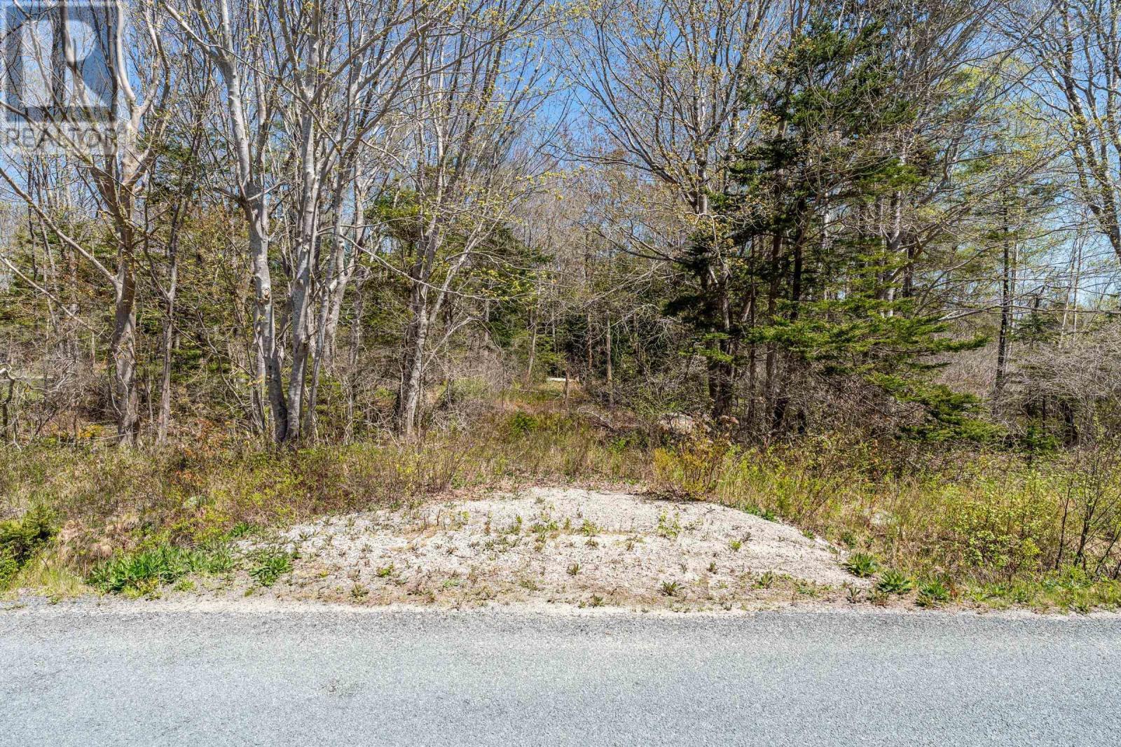 Lot Egypt Road, Pleasant Lake, Nova Scotia  B5A 5J9 - Photo 10 - 202410546