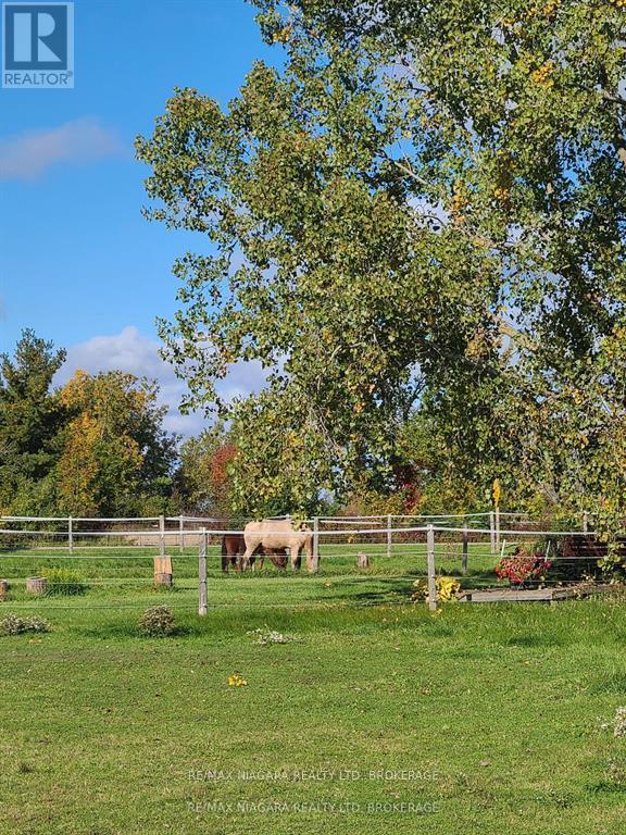 4609 Brookfield Road, Port Colborne, Ontario  L3B 5N7 - Photo 36 - X11969592