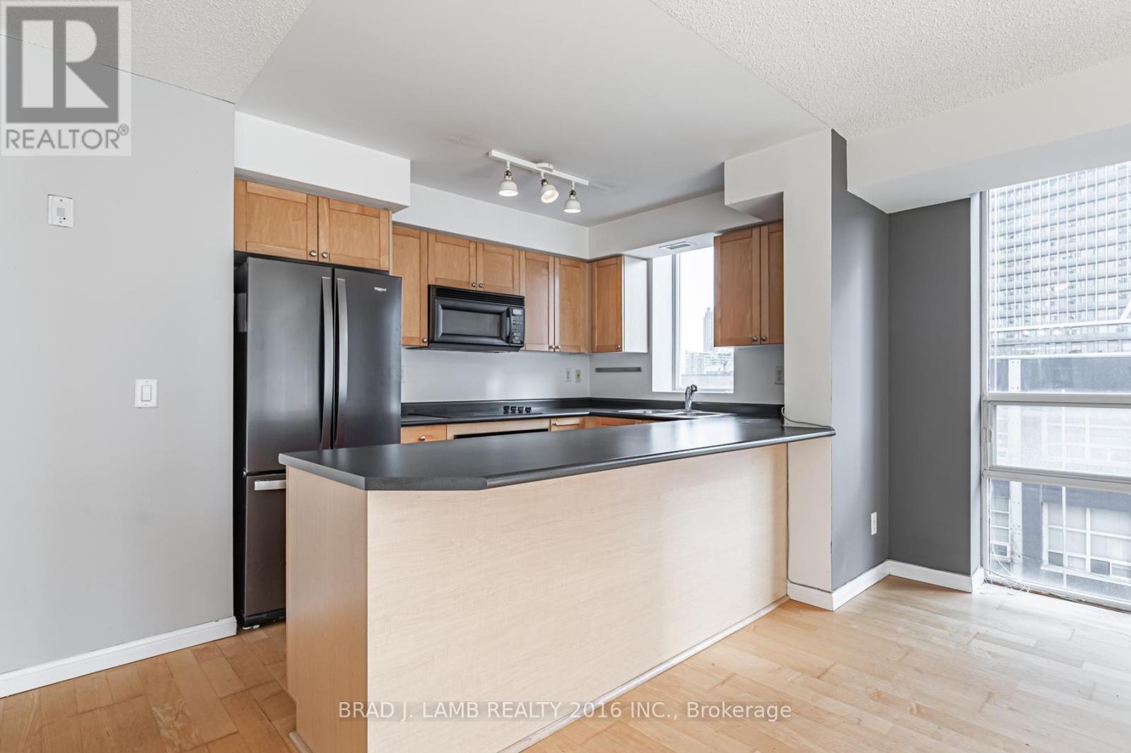 505 - 18 Stafford Street, Toronto, Ontario  M5V 3W4 - Photo 4 - C11969888