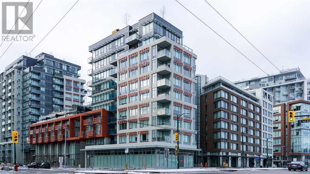 206 161 E 1ST AVENUE, vancouver, British Columbia