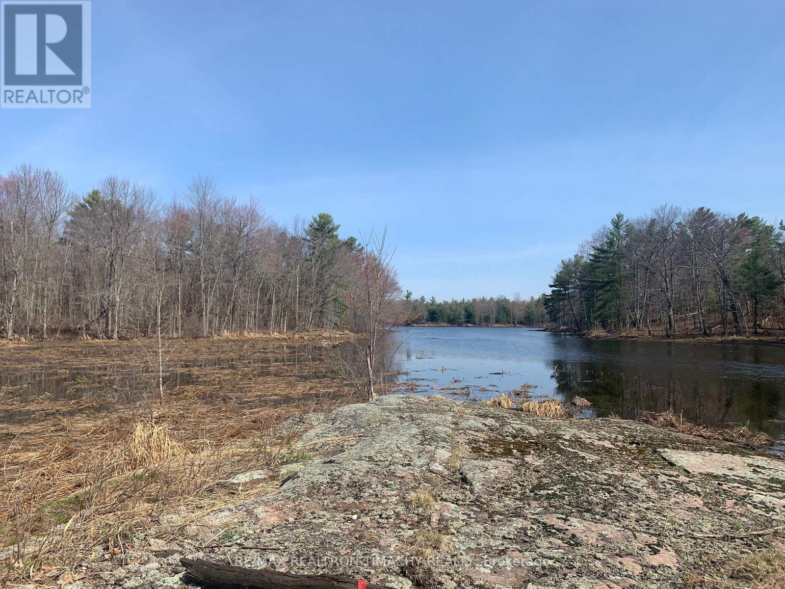 243 Prisque Road, Georgian Bay (Baxter), Ontario  L0K 1S0 - Photo 13 - X11969926