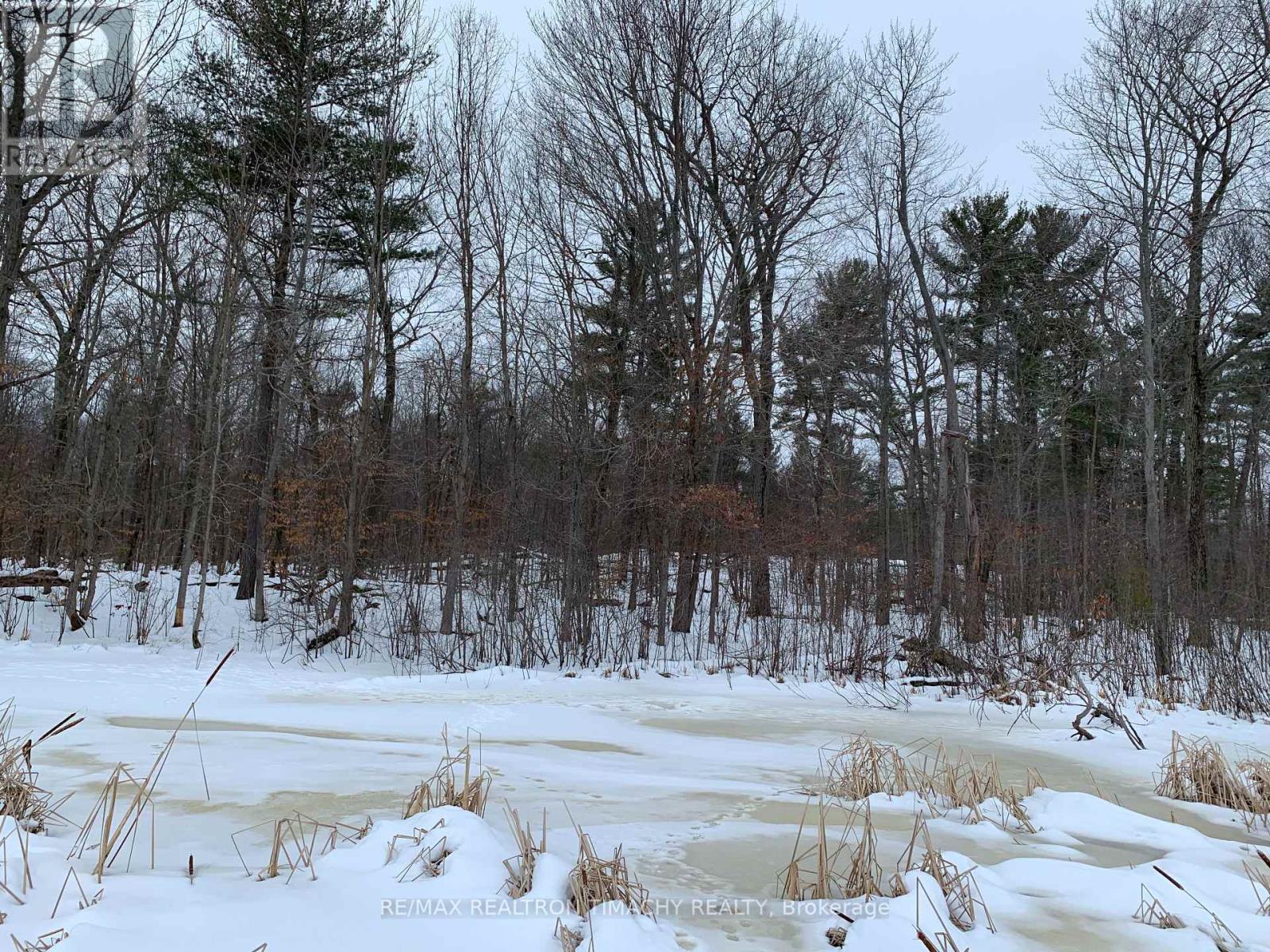 243 Prisque Road, Georgian Bay, Ontario  L0K 1S0 - Photo 16 - X11969926