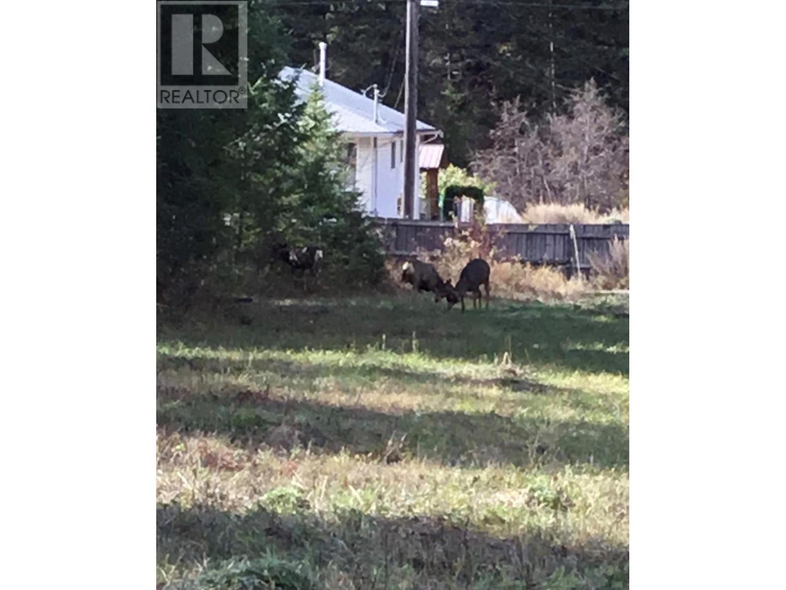 835 Boundary Creek Lane, Greenwood, British Columbia  V0H 1J0 - Photo 3 - 10335235