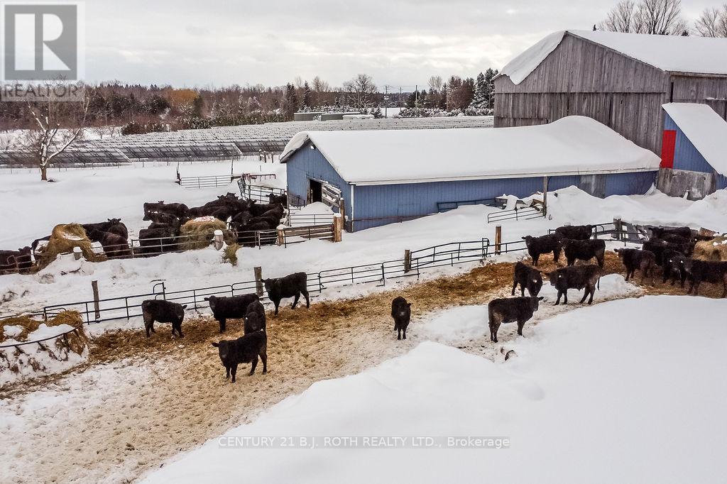 217 5 Line N, Oro-Medonte, Ontario  L0L 2E0 - Photo 13 - S11970459