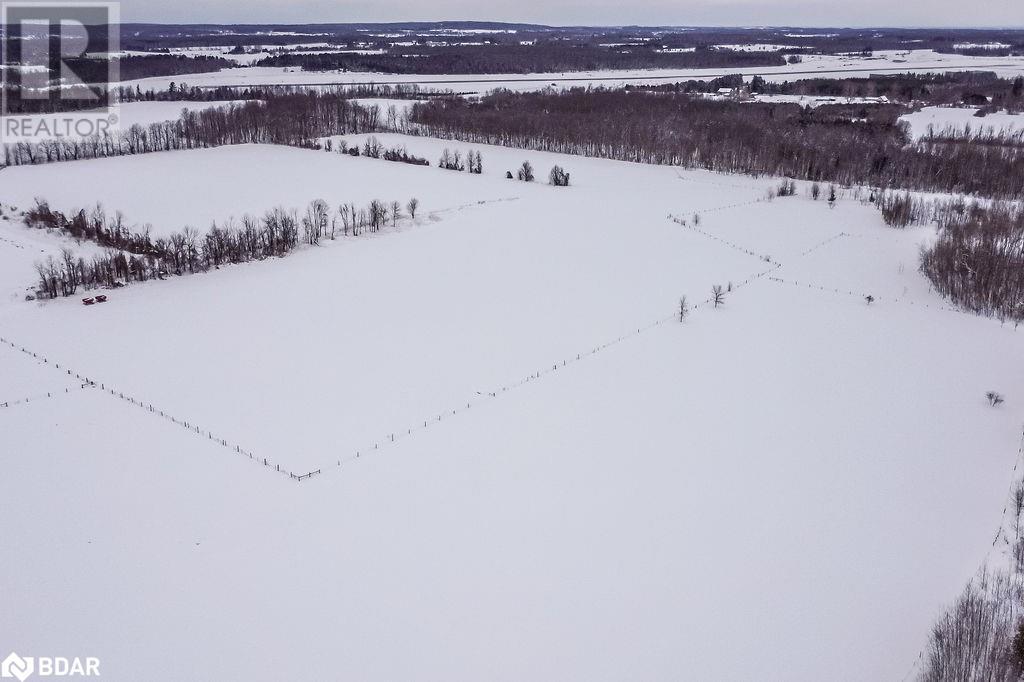 217 5 Line N, Oro-Medonte, Ontario  L0L 2E0 - Photo 11 - 40698501