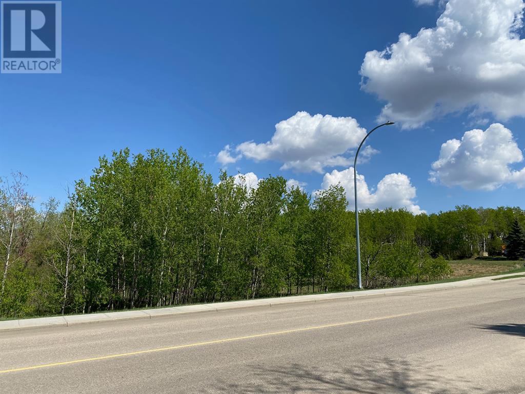 5005 46 Street, Ponoka, Alberta  T4J 1C2 - Photo 5 - A2026785
