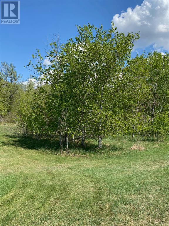 5005 46 Street, Ponoka, Alberta  T4J 1C2 - Photo 3 - A2026785