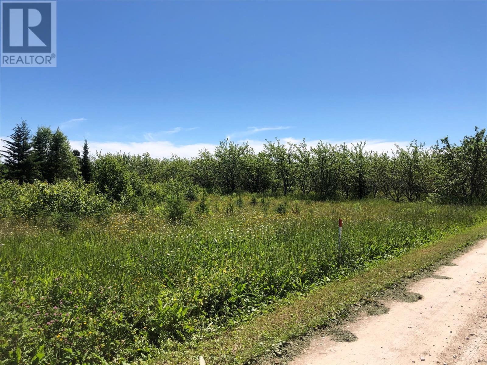 Lot #3a Upper Tranquil Waters Road, Reidville, Newfoundland & Labrador  A8A 1Z4 - Photo 3 - 1281729