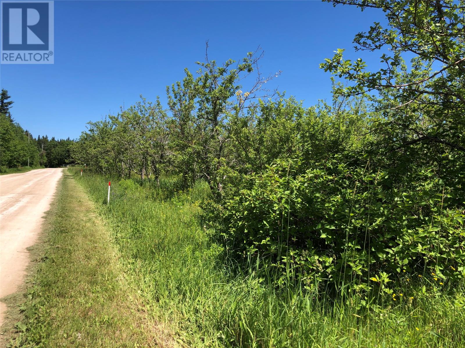 Lot #3a Upper Tranquil Waters Road, Reidville, Newfoundland & Labrador  A8A 1Z4 - Photo 4 - 1281729