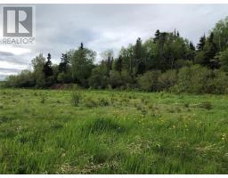 LOT#2-6 UPPER TRANQUIL WATERS Road, REIDVILLE, Newfoundland & Labrador