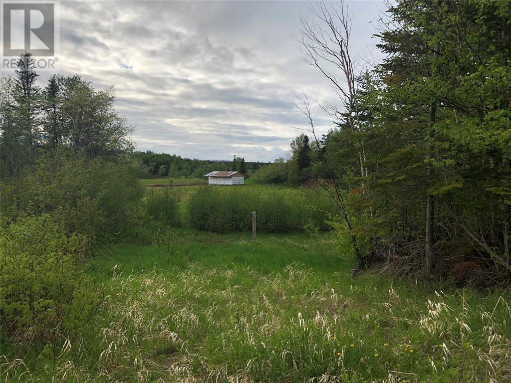 Lot#2-6 Upper Tranquil Waters Road, Reidville, Newfoundland & Labrador  A8A 1Z4 - Photo 2 - 1281734