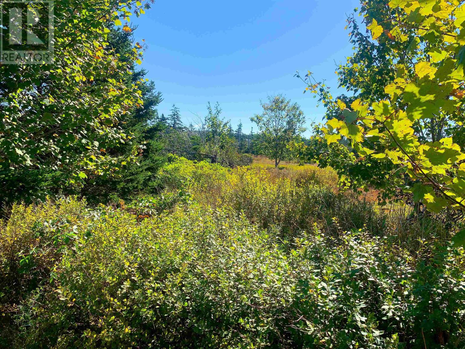 Lot Overton Road, South Chegoggin, Nova Scotia  B5A 5G8 - Photo 10 - 202423829