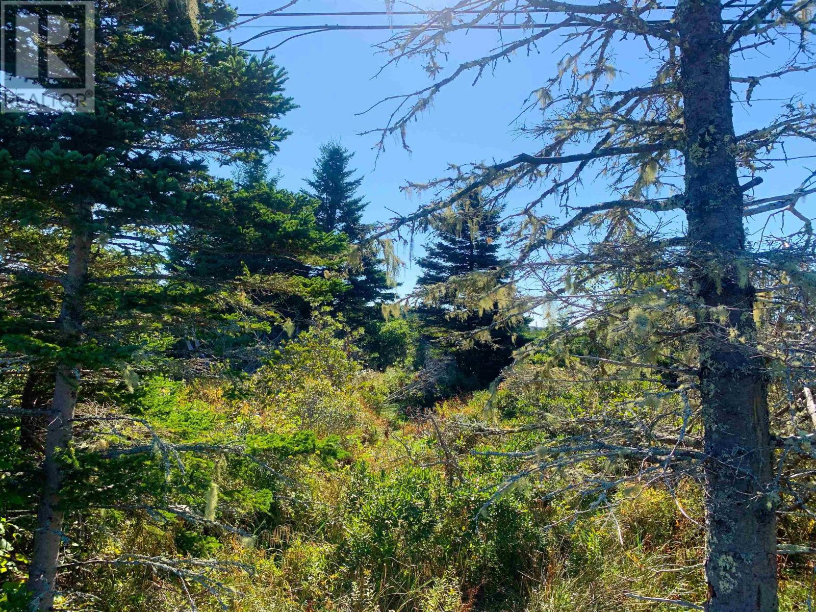 Lot Overton Road, South Chegoggin, Nova Scotia  B5A 5G8 - Photo 6 - 202423829