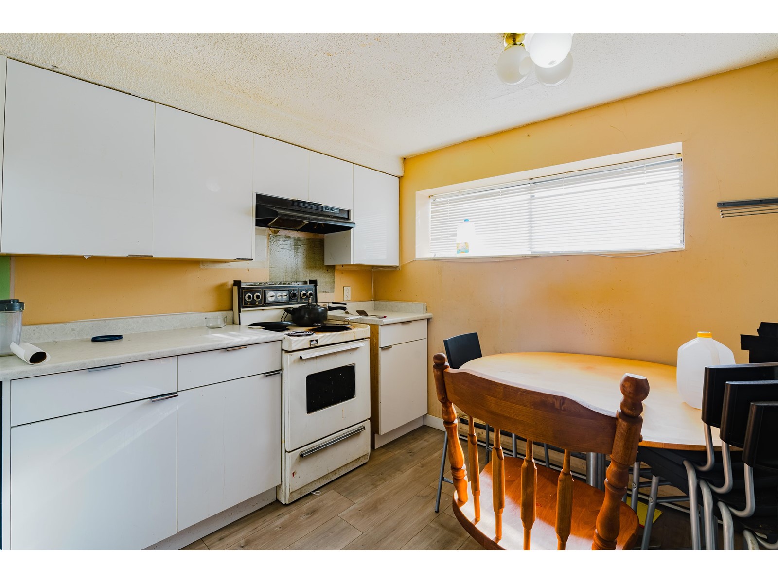 11789 86 Avenue, Delta, British Columbia  V4C 2X5 - Photo 32 - R2965154