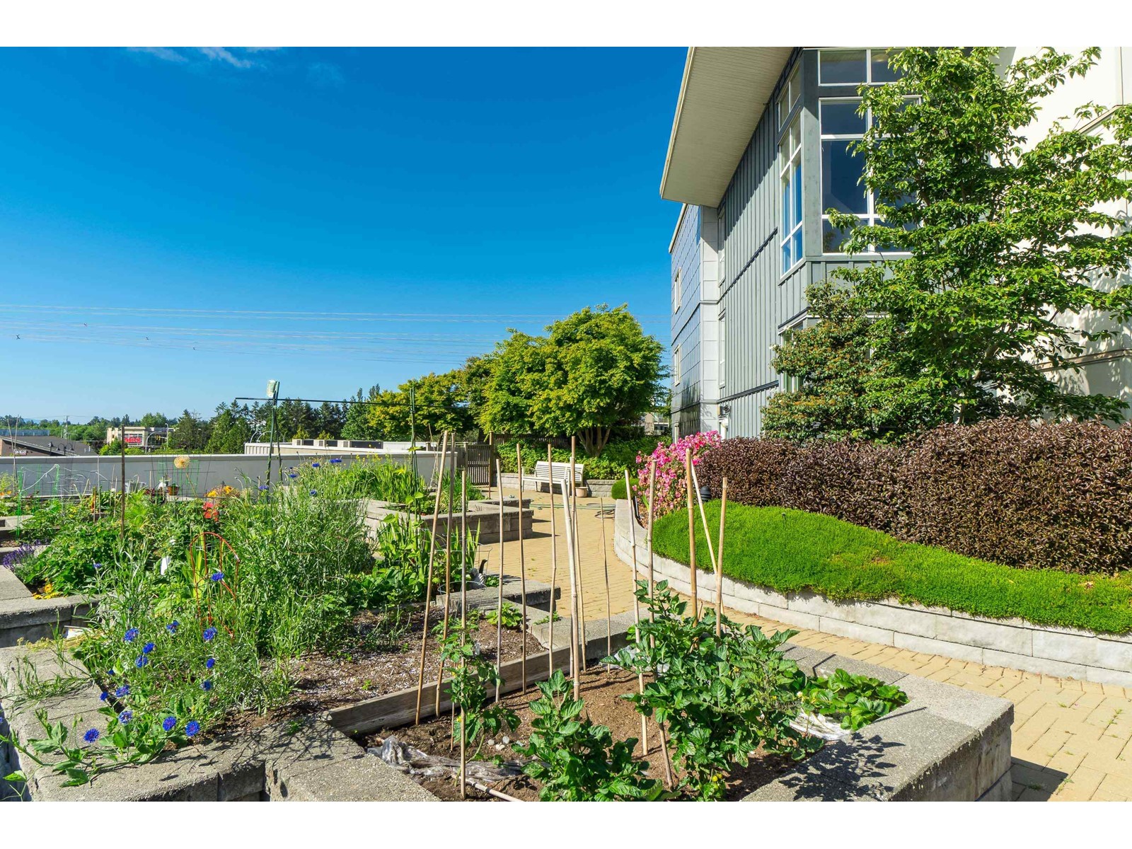 221 15850 26 Avenue, Surrey, British Columbia  V3Z 2N6 - Photo 28 - R2961122