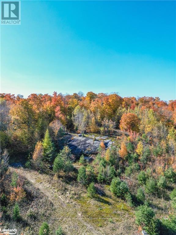 3051 Yearley Road, Huntsville, Ontario  P0A 1R0 - Photo 17 - X10437803