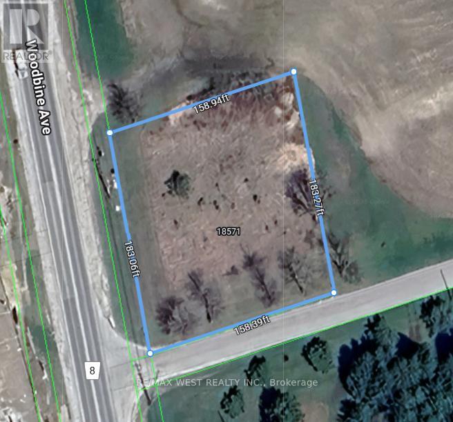 18571 Woodbine Avenue E, East Gwillimbury, Ontario  L0G 1V0 - Photo 4 - N11972065