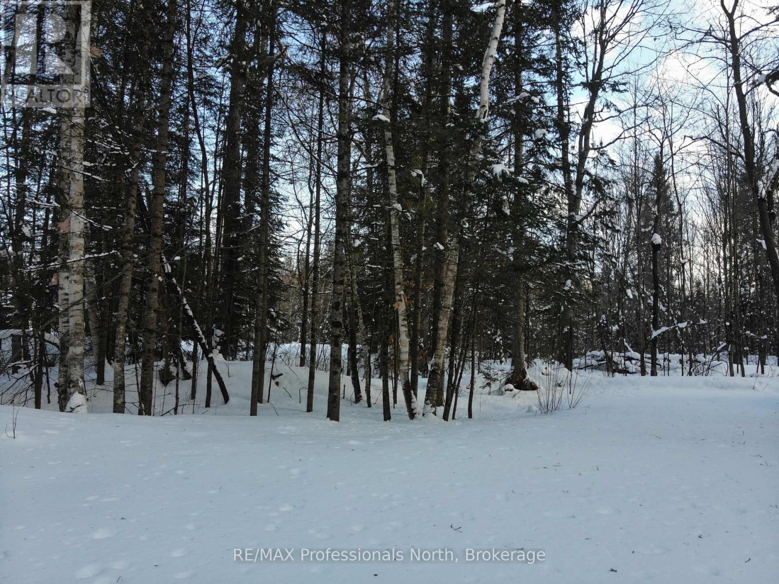 15 Robert Road E, Huntsville (Chaffey), Ontario  P1H 2J4 - Photo 5 - X11972135