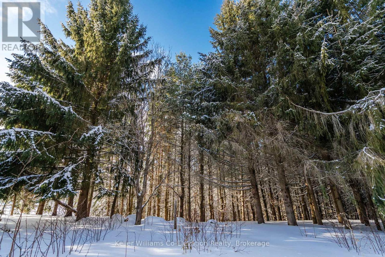 6115 Line 5 Road N, Oro-Medonte, Ontario  L0K 2A0 - Photo 15 - S11972209