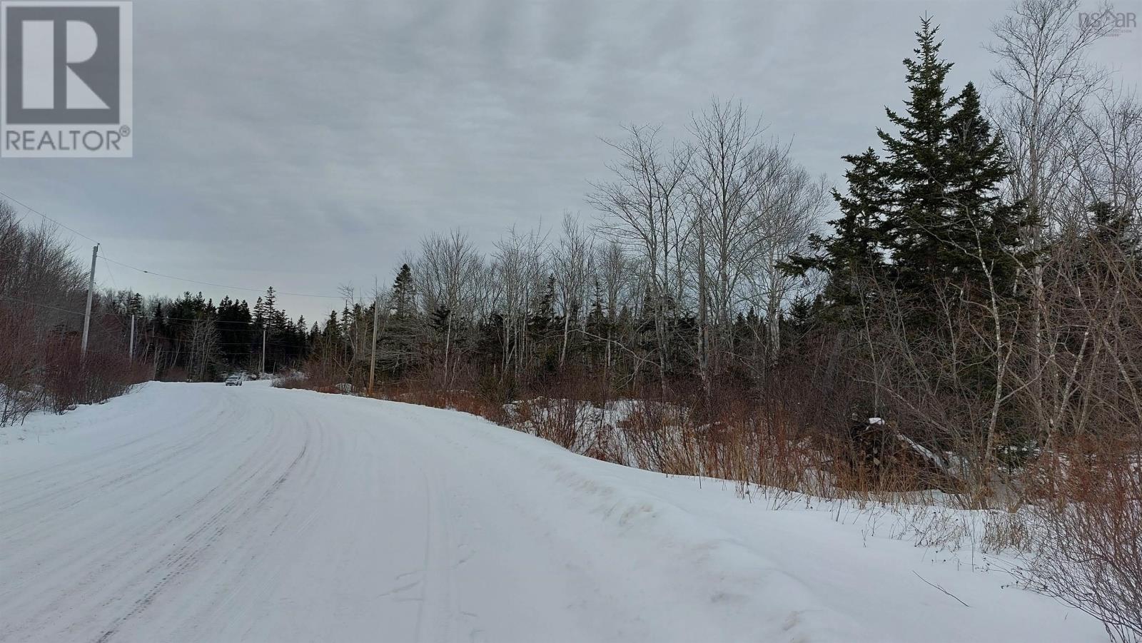 Lot 5 Evanston Rd, Evanston, Nova Scotia  B0E 1J0 - Photo 12 - 202502805