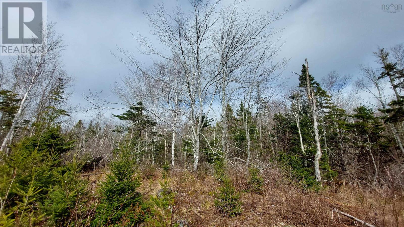 Lot 5 Evanston Rd, Evanston, Nova Scotia  B0E 1J0 - Photo 9 - 202502805