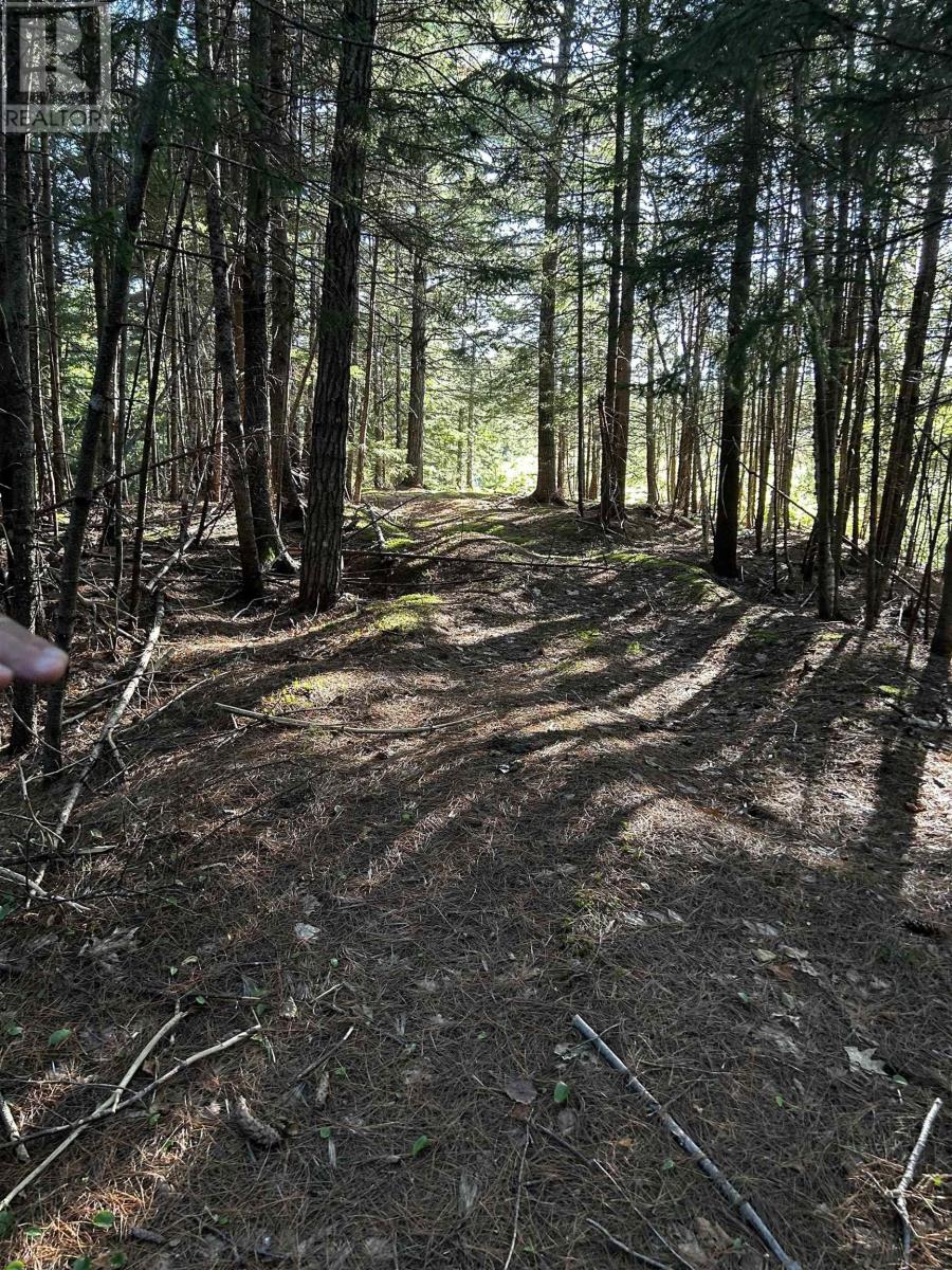 Unit 3 FORSYTHE ROAD SOUTH Road, white rock, Nova Scotia