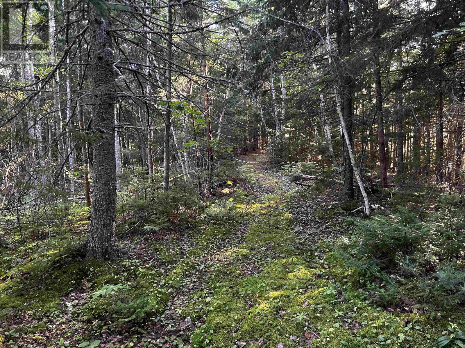 Unit 3 Forsythe Road South Road, White Rock, Nova Scotia  B4P 2R2 - Photo 2 - 202502883