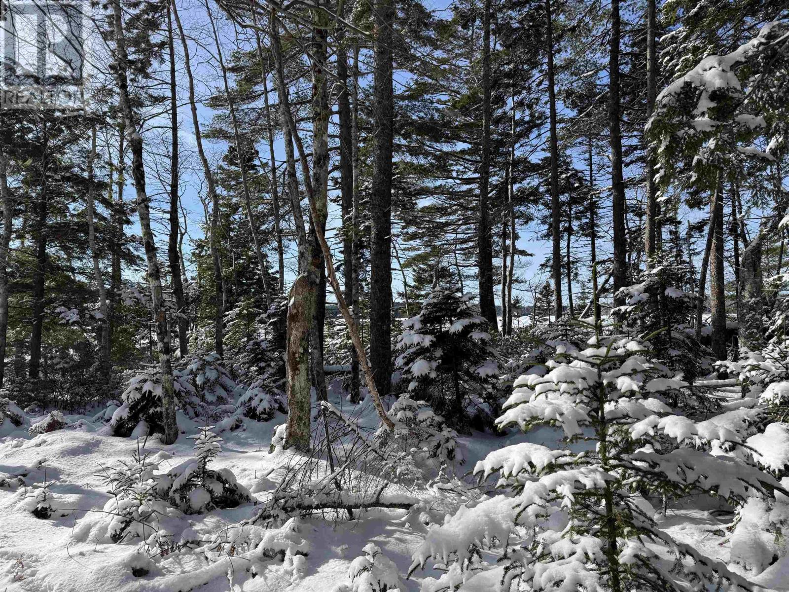 Lot 4 Harry Freeman Road, Labelle, Nova Scotia  B0T 1E0 - Photo 11 - 202502892