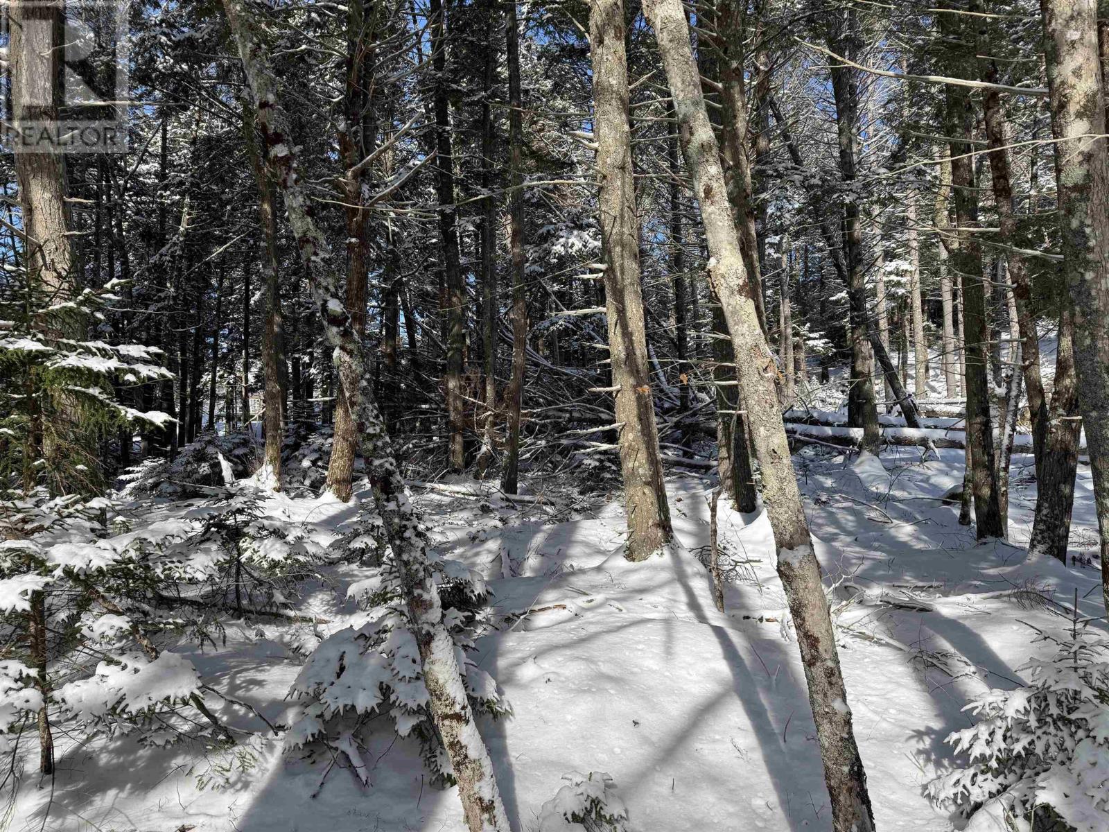 Lot 4 Harry Freeman Road, Labelle, Nova Scotia  B0T 1E0 - Photo 12 - 202502892