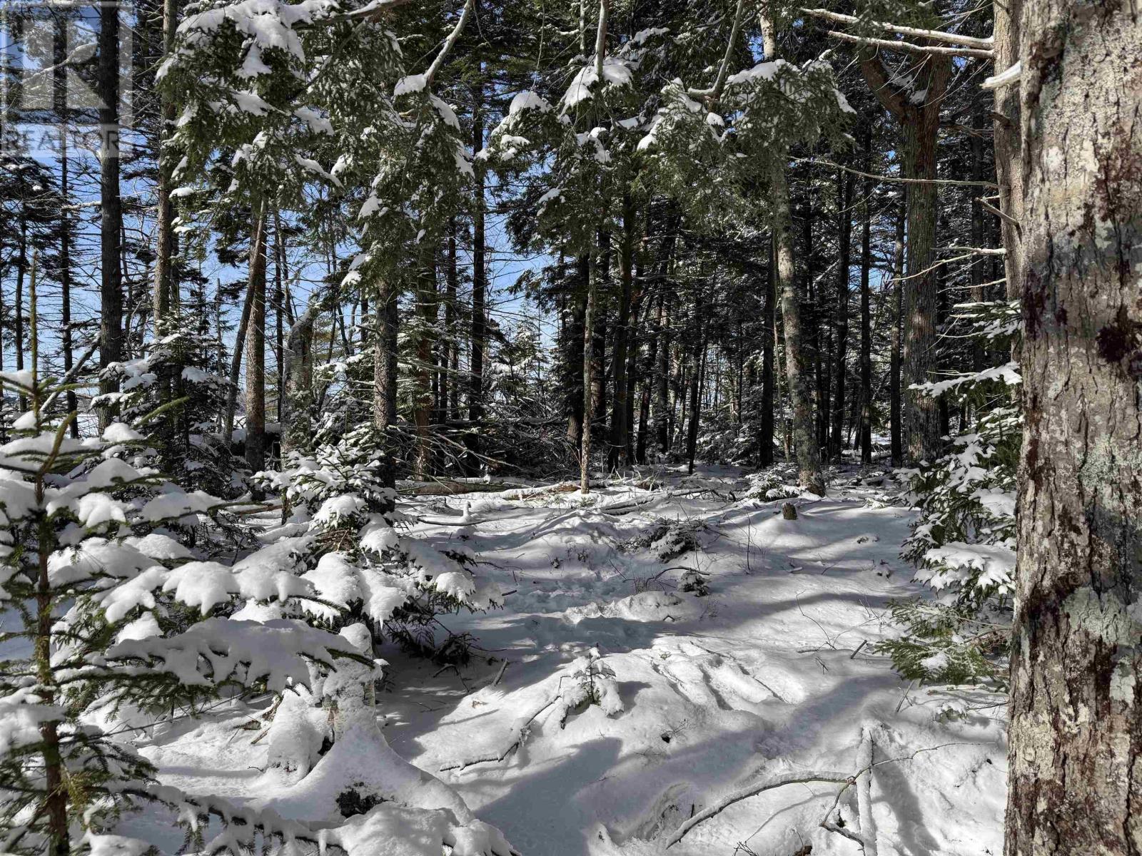 Lot 4 Harry Freeman Road, Labelle, Nova Scotia  B0T 1E0 - Photo 13 - 202502892