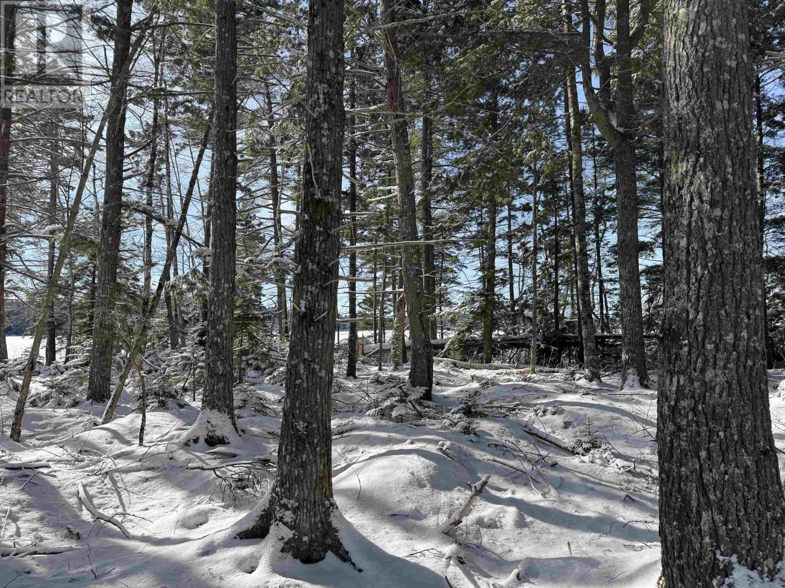 Lot 4 Harry Freeman Road, Labelle, Nova Scotia  B0T 1E0 - Photo 15 - 202502892
