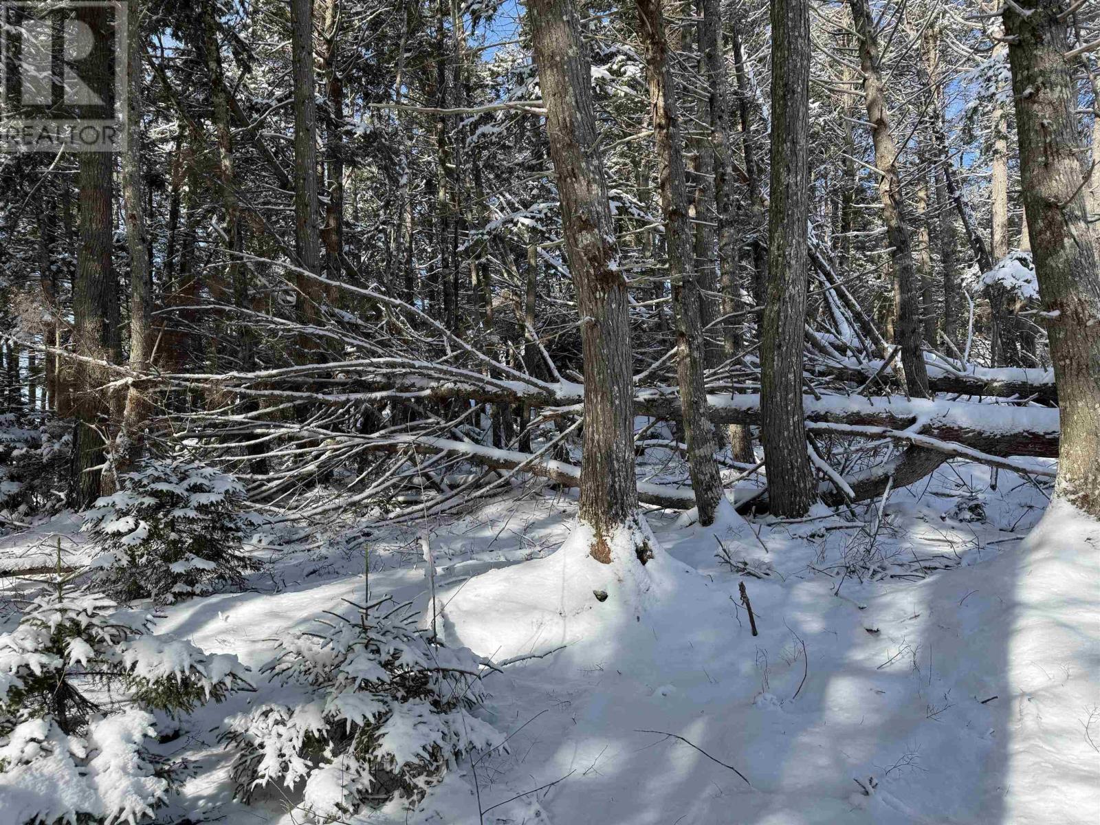 Lot 4 Harry Freeman Road, Labelle, Nova Scotia  B0T 1E0 - Photo 16 - 202502892