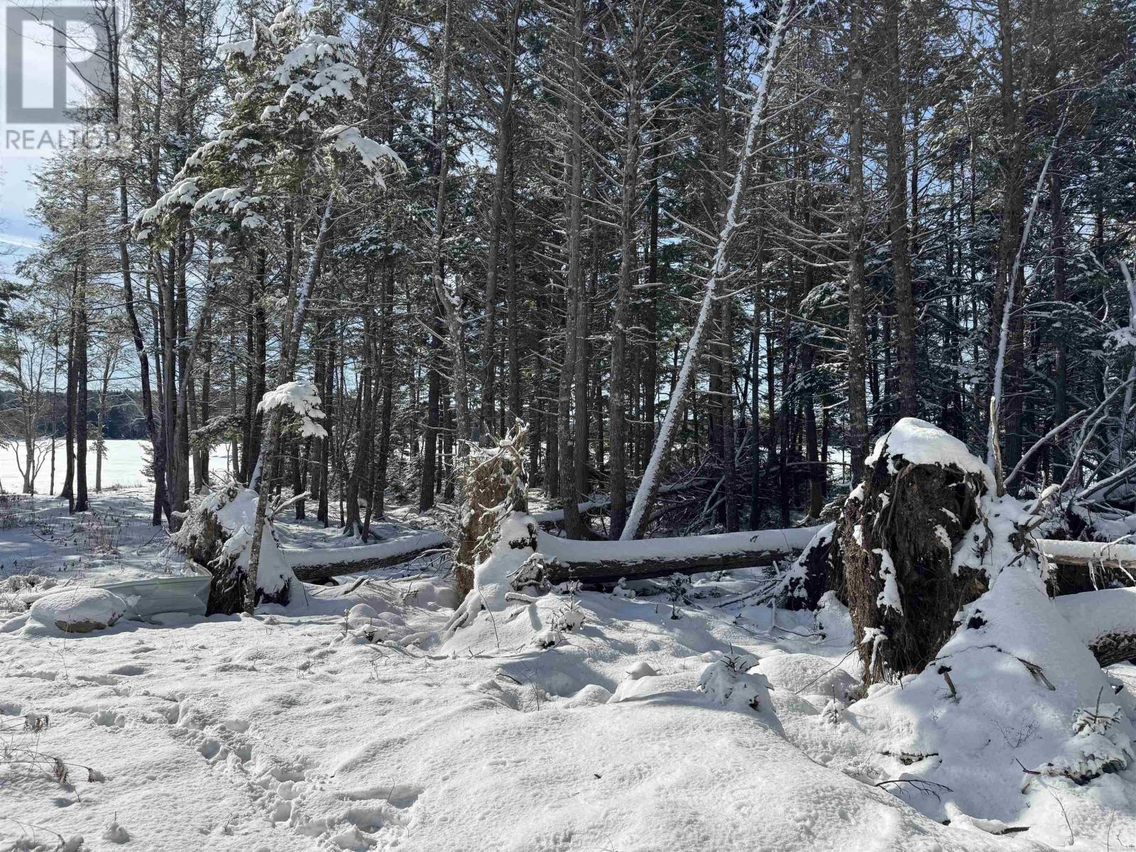 Lot 4 Harry Freeman Road, Labelle, Nova Scotia  B0T 1E0 - Photo 17 - 202502892