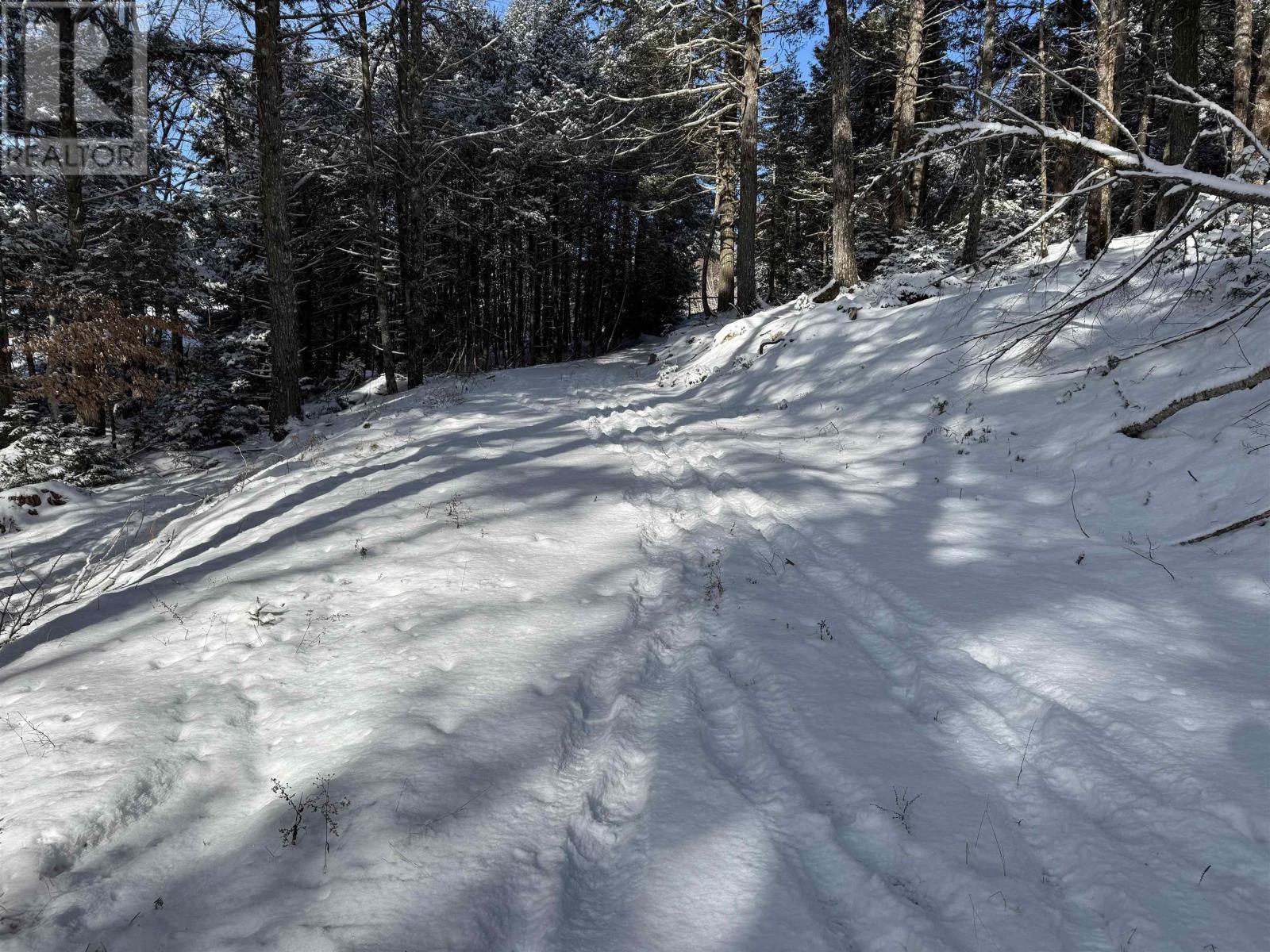 Lot 4 Harry Freeman Road, Labelle, Nova Scotia  B0T 1E0 - Photo 21 - 202502892