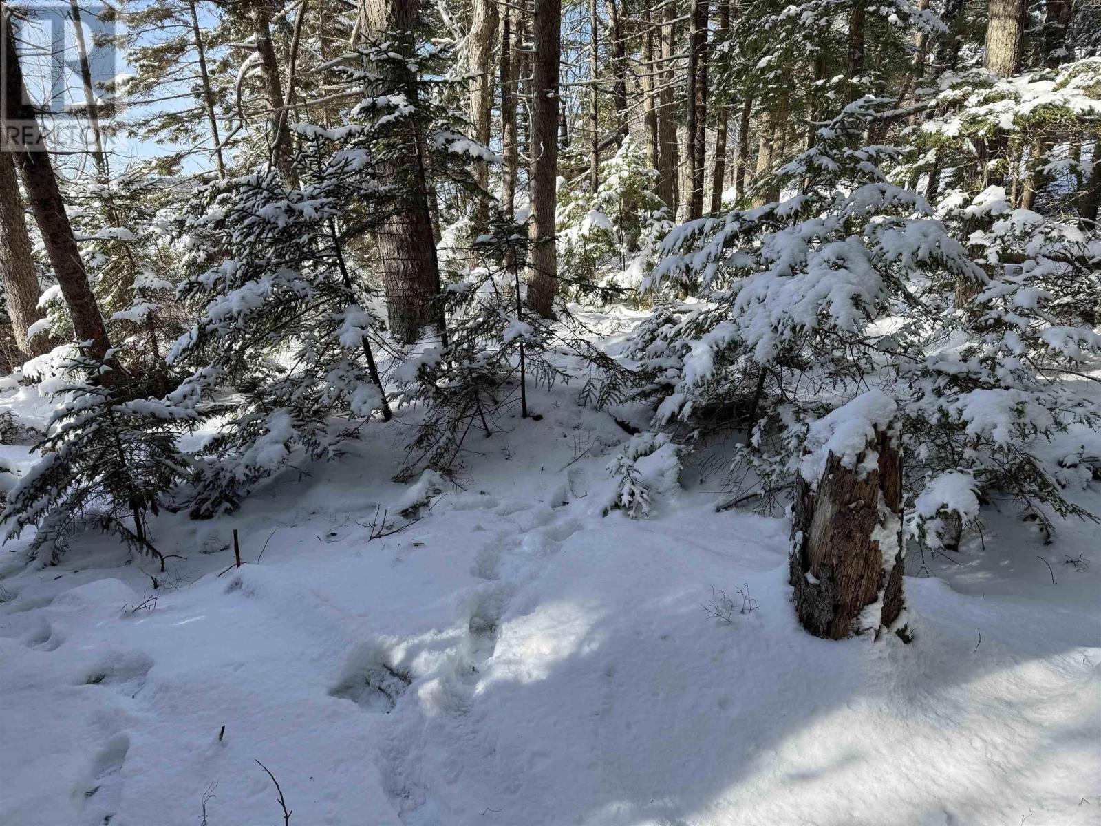 Lot 4 Harry Freeman Road, Labelle, Nova Scotia  B0T 1E0 - Photo 22 - 202502892