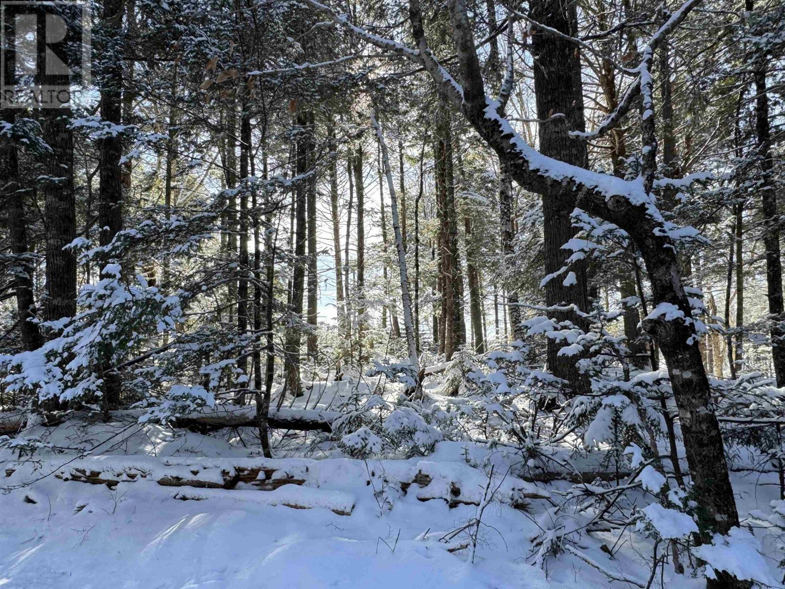 Lot 4 Harry Freeman Road, Labelle, Nova Scotia  B0T 1E0 - Photo 3 - 202502892