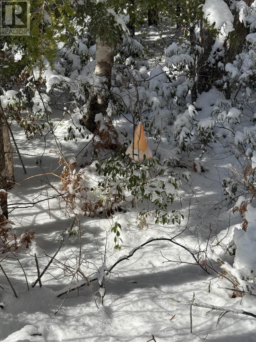 Lot 4 Harry Freeman Road, Labelle, Nova Scotia  B0T 1E0 - Photo 5 - 202502892