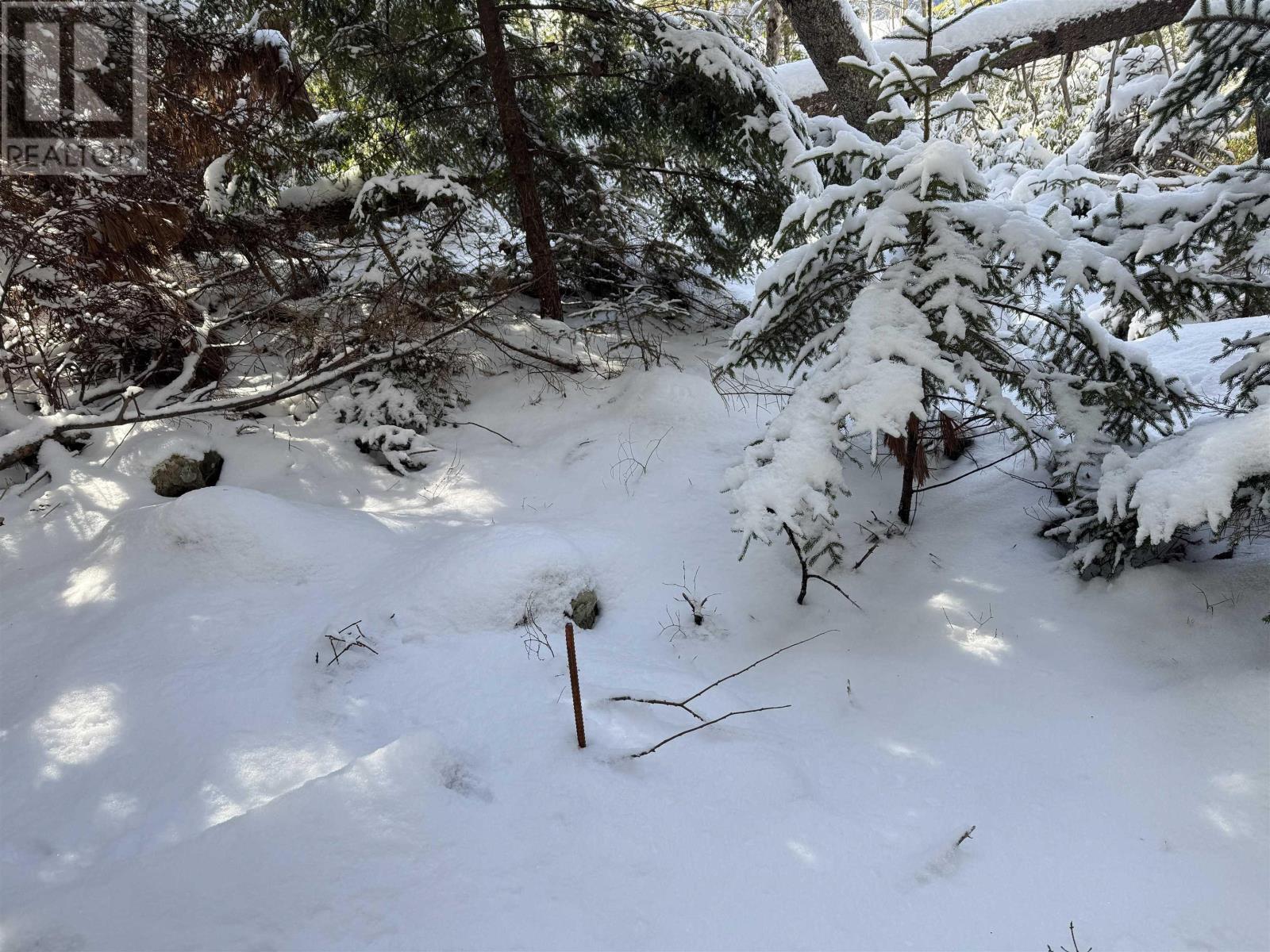 Lot 4 Harry Freeman Road, Labelle, Nova Scotia  B0T 1E0 - Photo 6 - 202502892